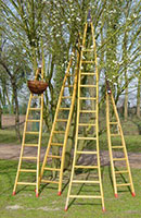 echelles fruiti&egrave;res en bois