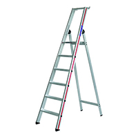 escabeau professionnel