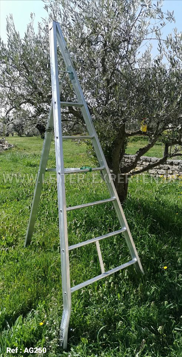 leiter fur olivenpflucken ag250