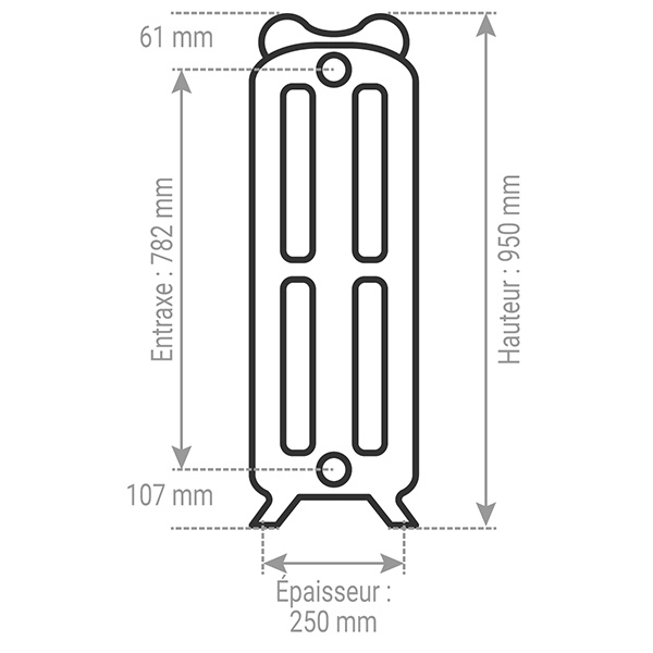 schema radiateur fonte fleuri 950x250